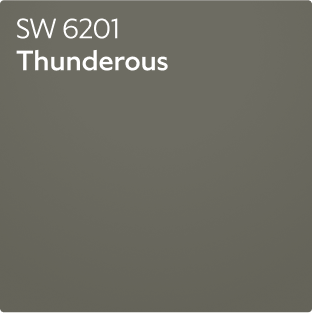 A color chip for Thunderous SW 6201.