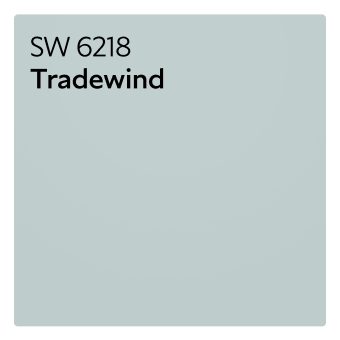 A color chip of SW 6218 Tradewind.