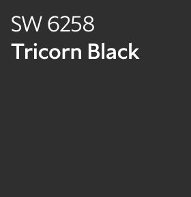 Sherwin-Williams Color Chip for Tricorn Black SW 6258.