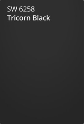Tricorn Black SW 6258 | Neutral Paint Colors | Sherwin-Williams