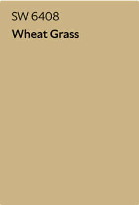 A Sherwin-Williams Color Chip for Wheat Grass SW 6408.