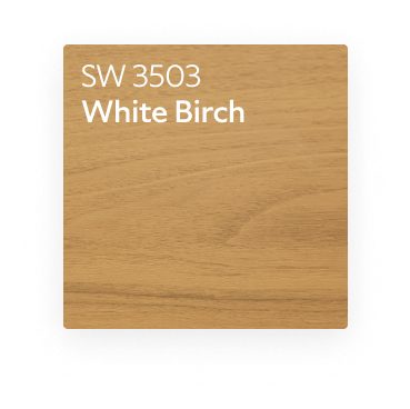 A color chip for SW 3503 White Birch.