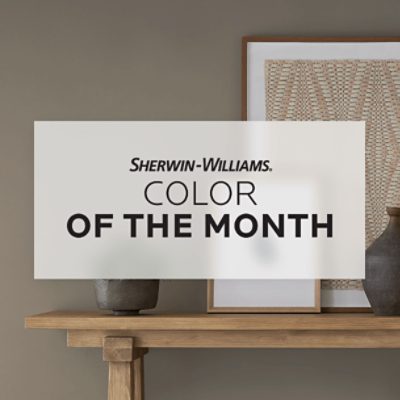Sherwin Williams December Color of the Month, walls painted in SW 9172 Studio Clay.