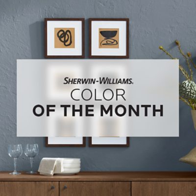 Sherwin Williams color of the month, july Storm Cloud.