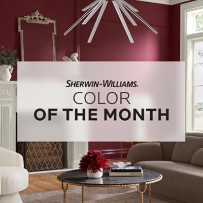 Sherwin Williams October Color of the Month, walls painted in SW 7578 Borscht.