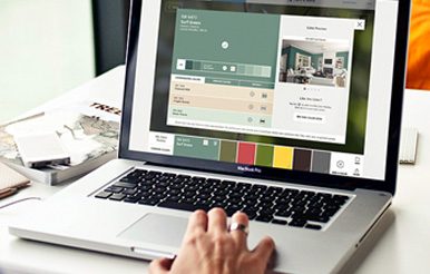 A person viewing the color visualizer on a laptop.