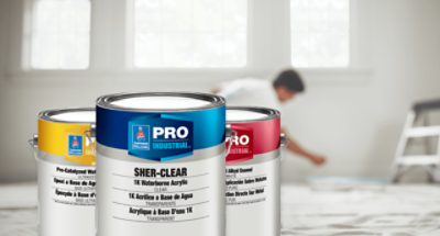 Three cans of Pro Industrial paint.