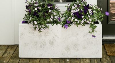 An outdoor concrete planter with bloomed flowers. 