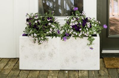 A light gray stained concrete planter containing small purple and white flowers.