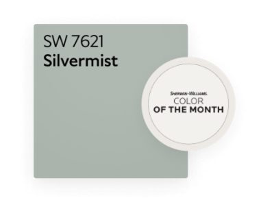 Sherwin Williams Silvermist SW 7621 color chip for Color of the Month.
