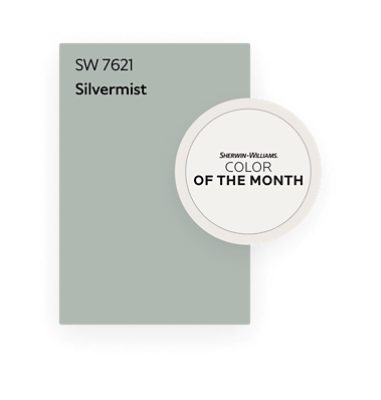 Sherwin Williams Silvermist SW 7621 color chip for Color of the Month.