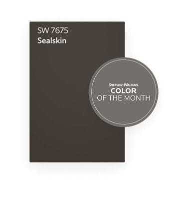 Color chip of SW 7675 Sealskin, November Color of the Month.