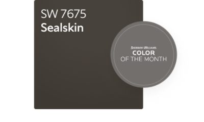 Color chip of SW 7675 Sealskin, November Color of the Month.