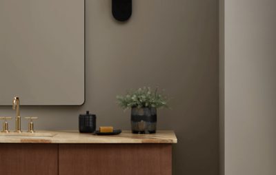 Bathroom painted in SW 9172 Studio Clay with mirror and vanity.