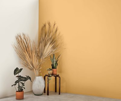 Wall painted in Tarnished Trumpet.