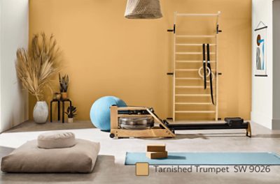 Gym painted in Tarnished Trumpet SW 9026.