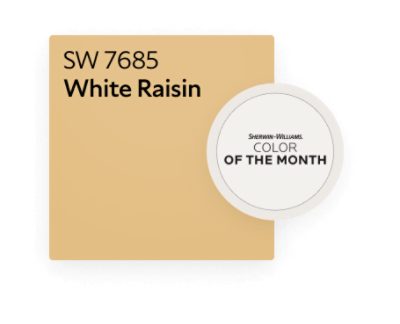 Sherwin-Williams Color of the Month. SW 7685 White Raisin.