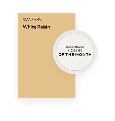 Sherwin-Williams Color of the Month. SW 7685 White Raisin.