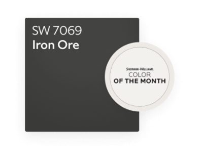 Iron Ore SW 7069 Color of the Month.