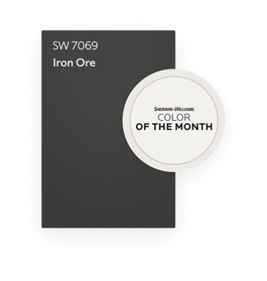 Iron Ore SW 7069 Color of the Month.
