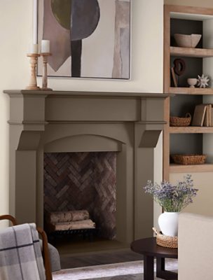 Living room with chairs, fireplace and a bookshelf.
