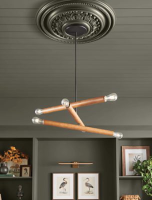 Ceiling and shelves painted in Roycroft Bronze Green SW 2846.