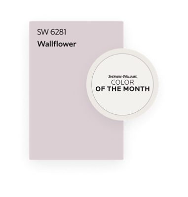 Sherwin-Williams Color of the Month. SW 6281 Wallflower.