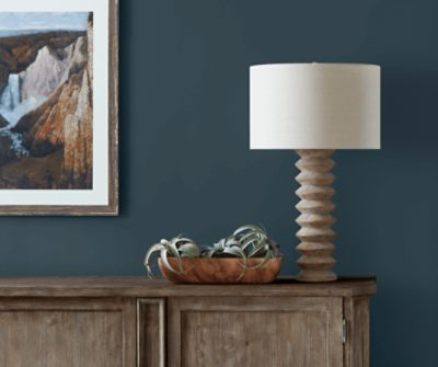 Walls painted dark blue with a lamp and plant set on a piece of furniture.