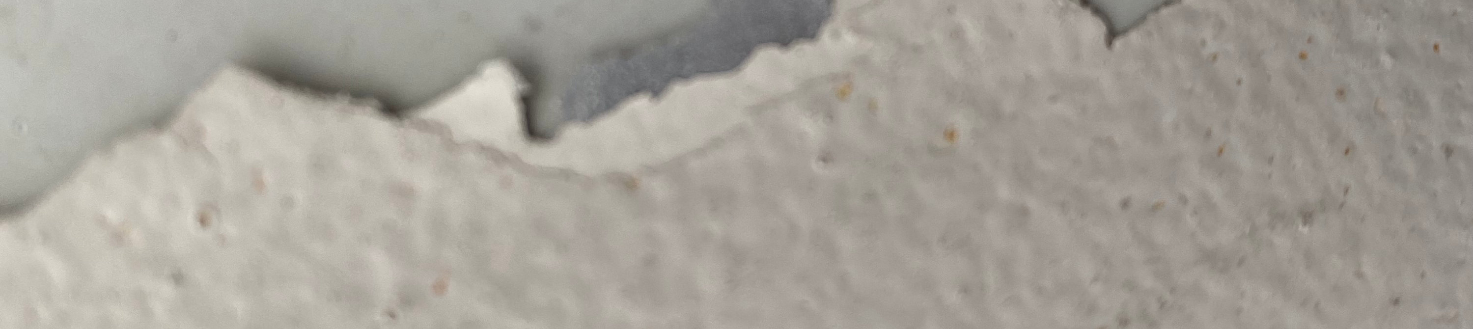 curtain wall with peeling coating