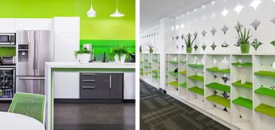 Vivid green walls and shelving in communal kitchen and display area with bright white cabinetry and stainless steel appliances.