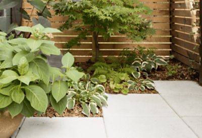 A patio with a tree, green plants, and a wood fence enclosure.