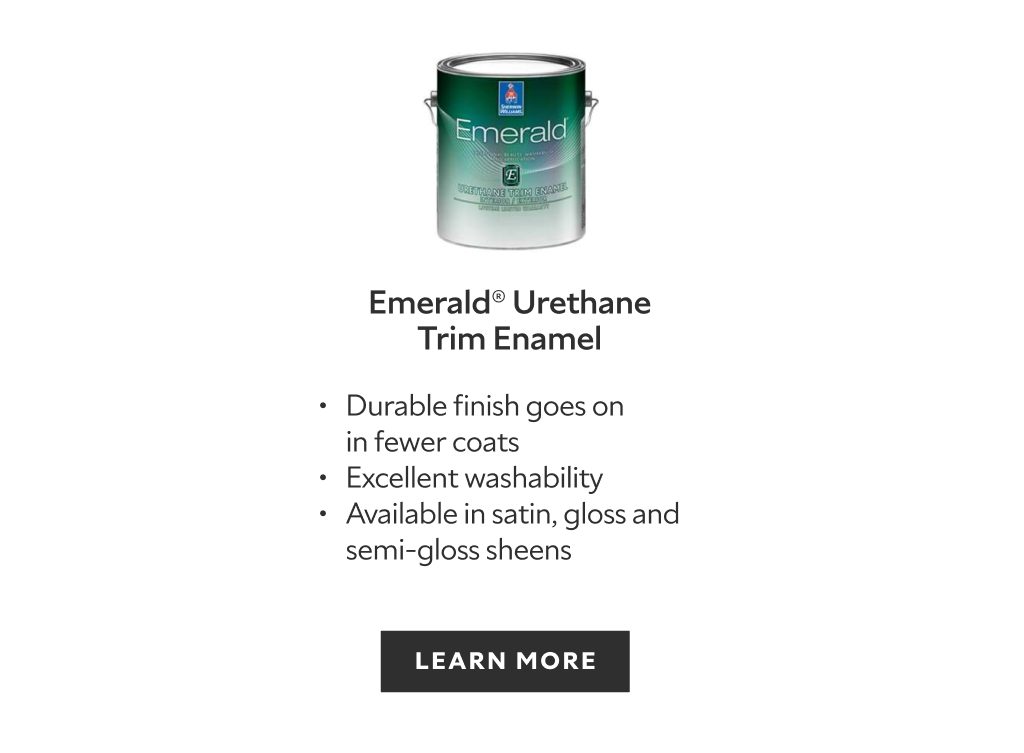 HGTV HOME by Sherwin-Williams High-gloss Extra White Water-based  Interior/Exterior Door and Trim Paint (5-Gallon) in the Door & Trim Paint  department at