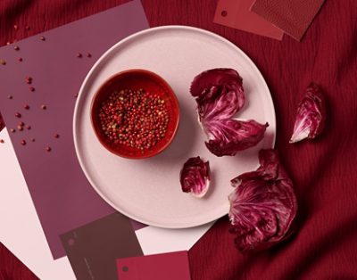 Flatlay image of a bowl of pink peppercorns and radicchio leaves on a plate surrounded by Sherwin-Williams paint samples in similar colors. 
