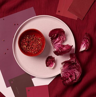 Flatlay image of a bowl of pink peppercorns and radicchio leaves on a plate surrounded by Sherwin-Williams paint samples in similar colors. 