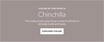 Color of the Month. Chinchilla. This chalky purple-gray brings a sense of softness to everyday hustle and bustle.