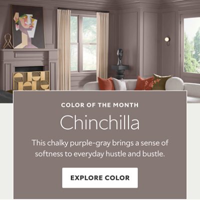 Color of the Month. Chinchilla. This chalky purple-gray brings a sense of softness to everyday hustle and bustle.