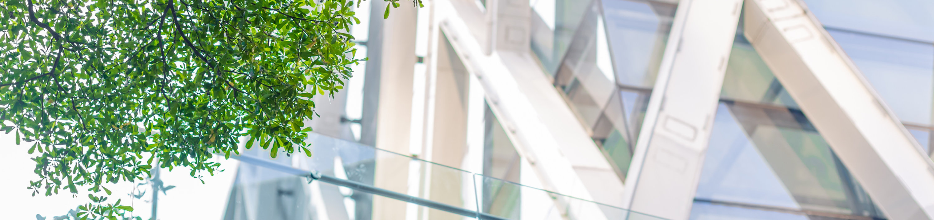 A woman walks along a footbridge against a skyscraper and a tree