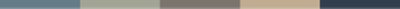 A horizontal border with earthy tones.