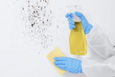 Person cleaning mildew from a wall using a spray bottle and sponge, wearing protective gloves and clothing.