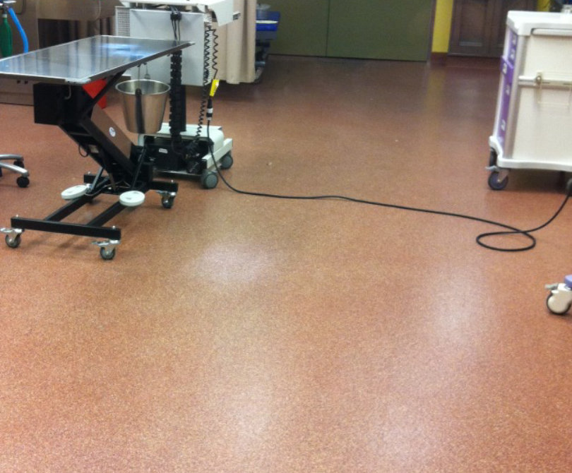 busch gardens animal facility flooring 