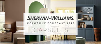 Sherwin-Williams Colormix Forecast 2025 Capsules.