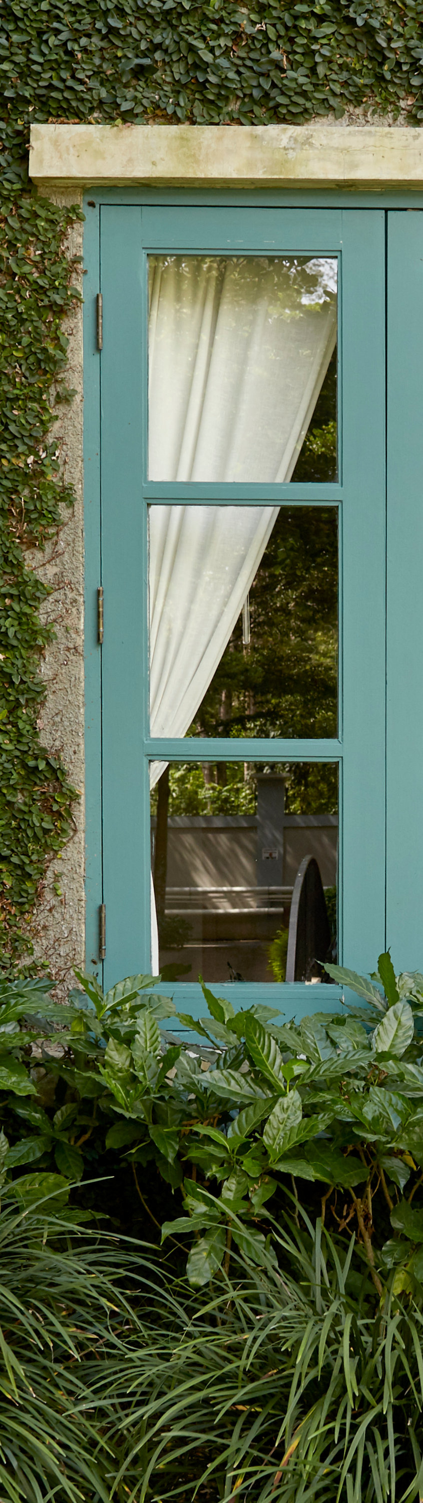 Wooden window with light blue frame and white curtains.