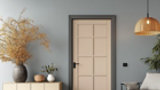 Minimalist interior with horizontal-panel wooden door, beige sofa, and natural decorative elements.