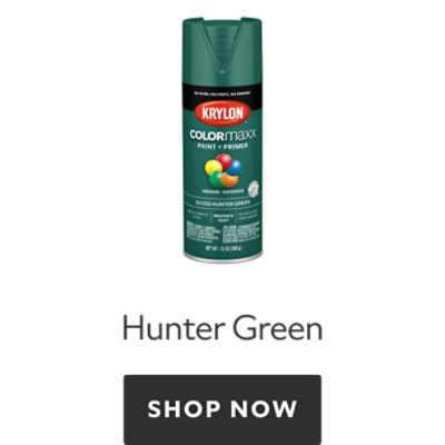 Krylon Colormaxx Hunter Green. Shop now.