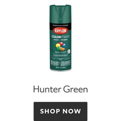 Krylon Colormaxx Hunter Green. Shop now.