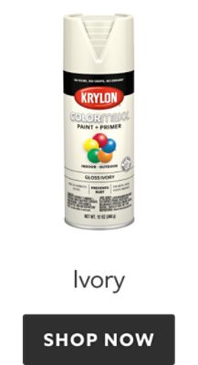 Krylon Colormaxx Ivory. Shop now.