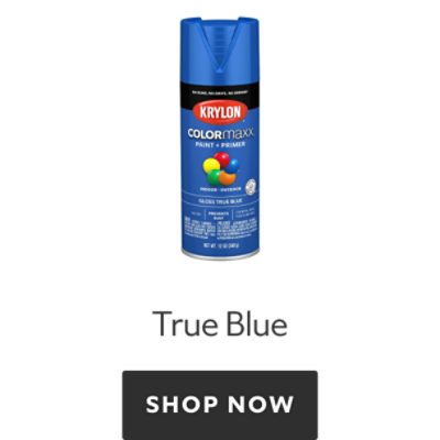 Krylon Colormaxx True Blue. Shop now.