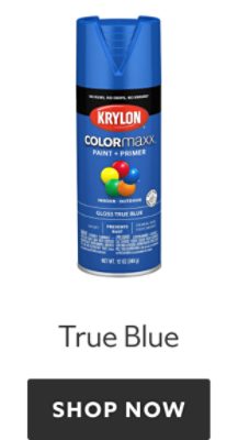 Krylon Colormaxx True Blue. Shop now.
