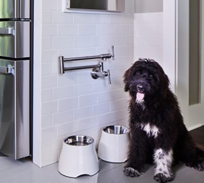 Large, shaggy black dog sitting next to elevated food and water dishes beneath an easy pot-fill station installed in a subway tile wall.