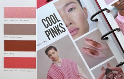 Color swatches of pinks, reds, and corals and a page from a ring-bound NellyRodi trend book featuring a face with pink makeup and photos of clothes and shoes in shades of cool pink.